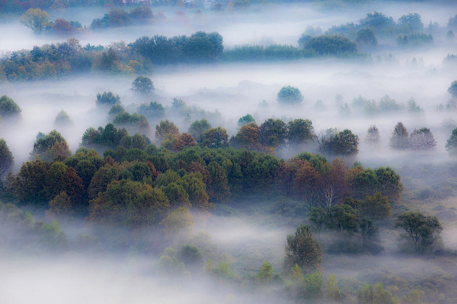 Mist in the morning by Pietro Ebner Mist in the morning by Pietro Ebner