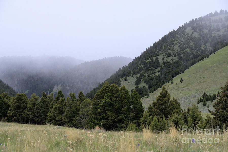 Mist in the Mountains Photograph by Kae Cheatham