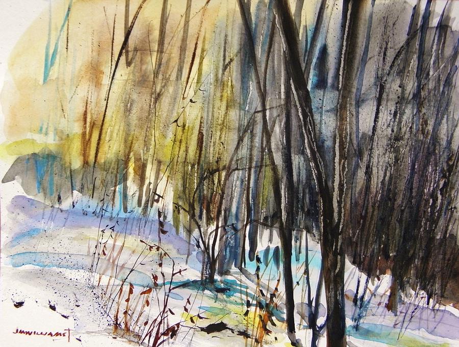 Mist in the Woods Painting by John Williams