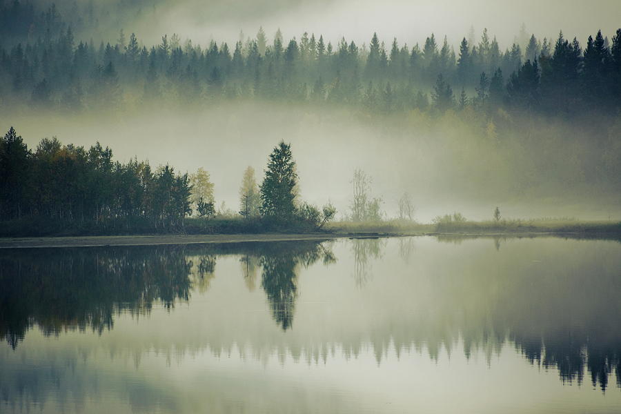 Mist is rising from an autumn forest mirrored in a glassy lake a Photograph by Ulrich Kunst And Bettina Scheidulin