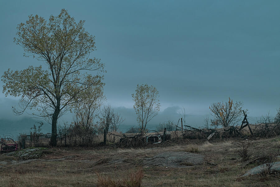 Mist Photograph by Marinko Shlakeski Mist Photograph by Marinko Shlakeski