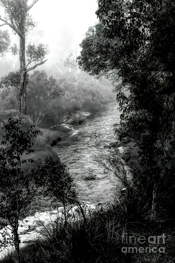 Mist on the Blackwood, Bridgetown, Western Australia Photograph by Elaine Teague