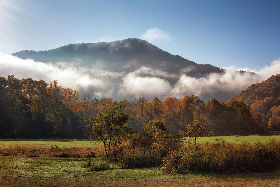 Mist on the Mountains - Smoky Mountains Photograph by Susan Rissi Tregoning