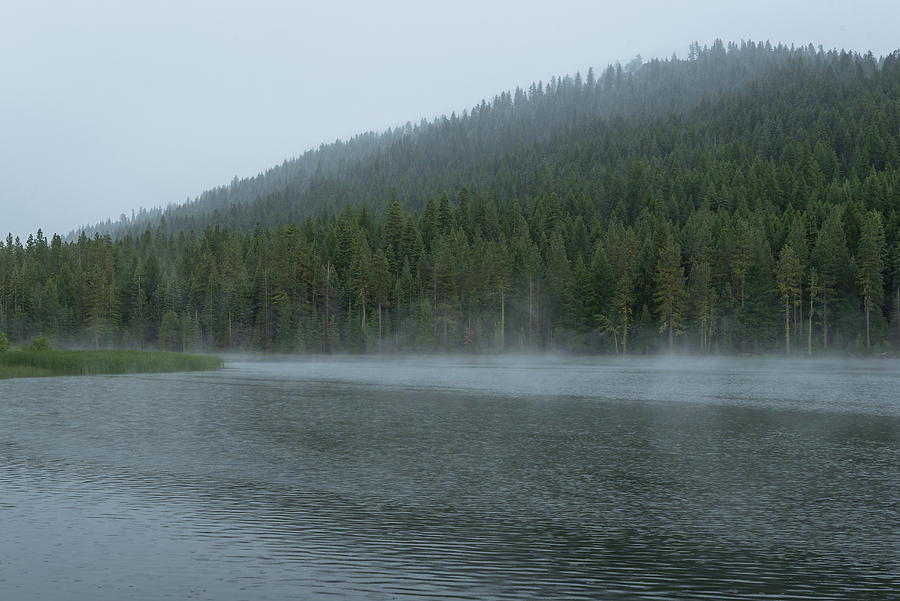 Mist Over Lake Photograph by Mike Fusaro