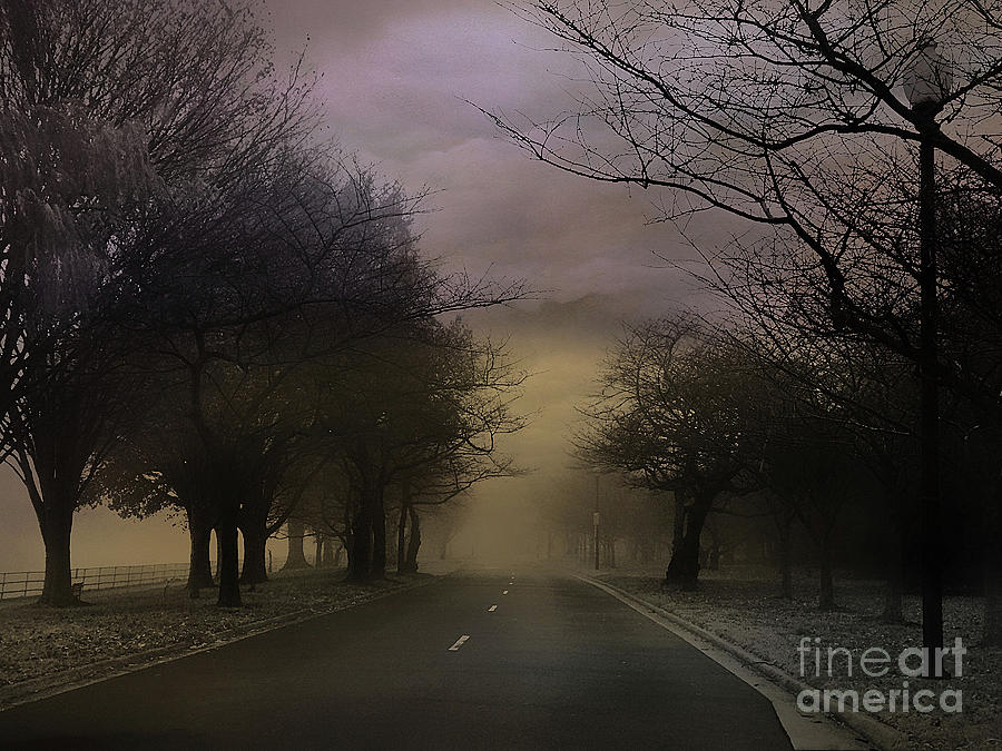 Fantasy Photograph - Mist Road by Terry Rowe