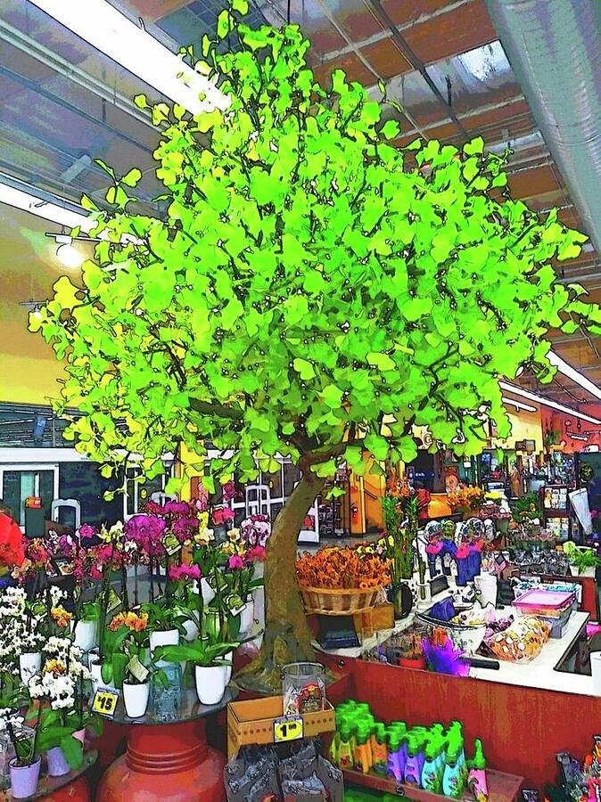 Mystic Tree Photograph by Cherry Vercher Mystic Tree Photograph by Cherry Vercher