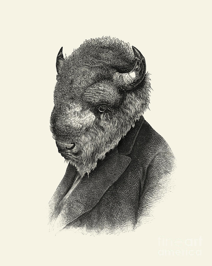 Buffalo Digital Art - Mister Bison by Madame Memento