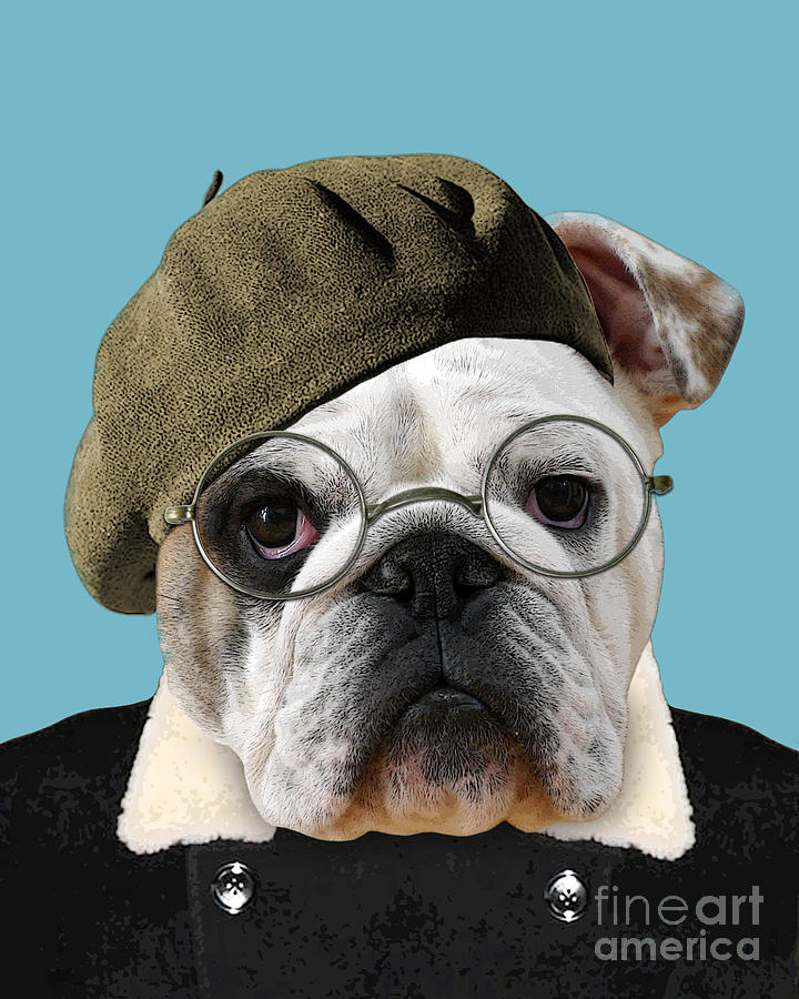 Dog Digital Art - Mister Bulldog by Madame Memento