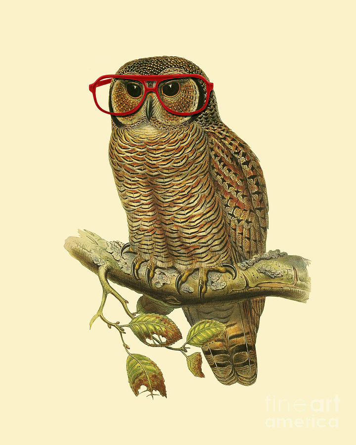 Owl Digital Art - Mister Owl by Madame Memento