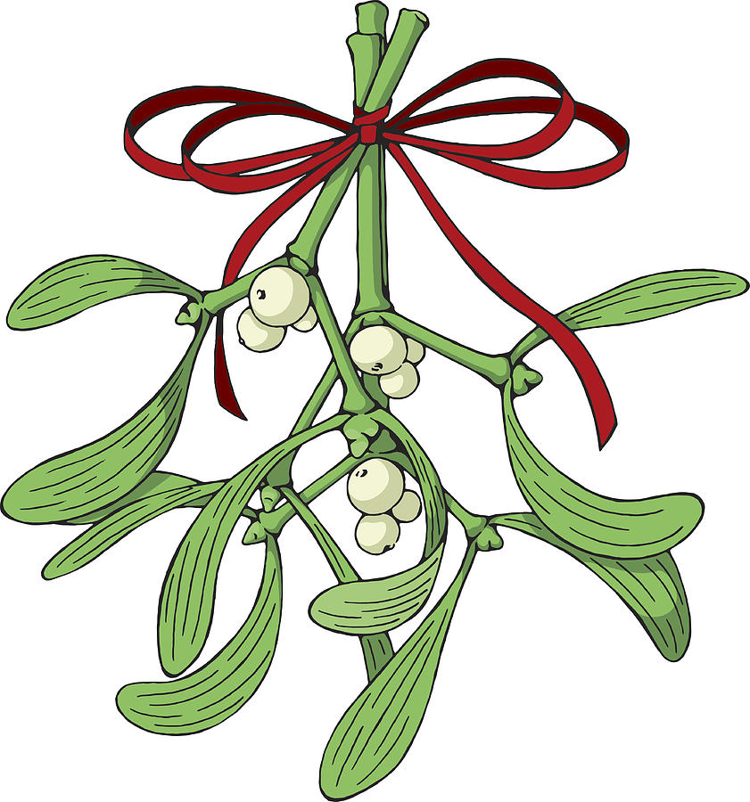 Mistletoe With Red Ribbon Drawing by Saemilee
