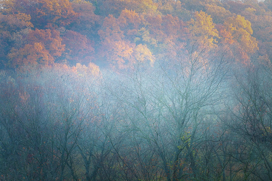 Misty Autumn Photograph by Brad Mangas