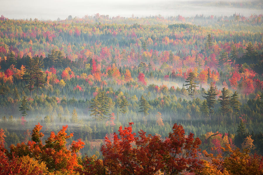 Misty Autumn Photograph by White Mountain Images