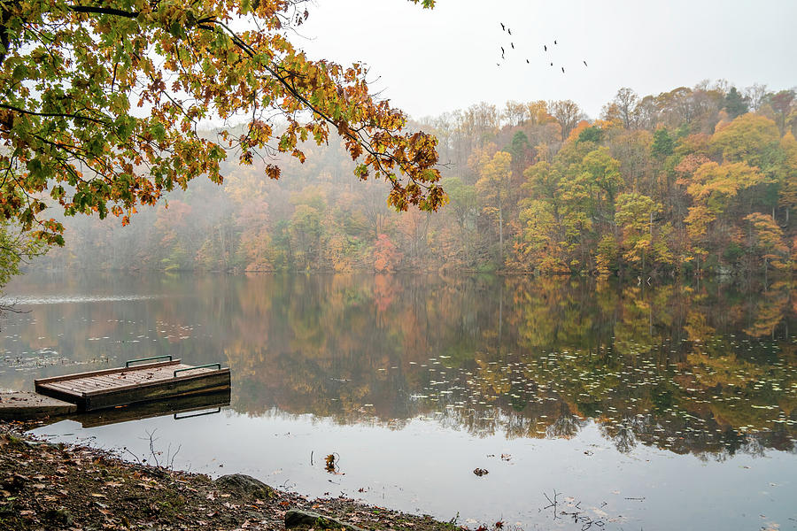 Misty Autumn Photograph