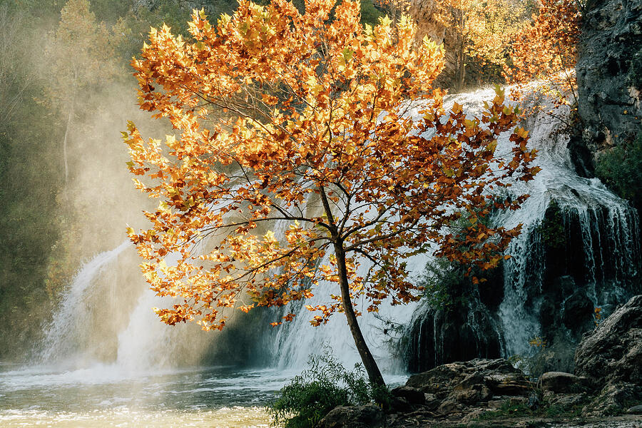 Misty Autumn Morning Photograph by Iris Greenwell Misty Autumn Morning Photograph by Iris Greenwell
