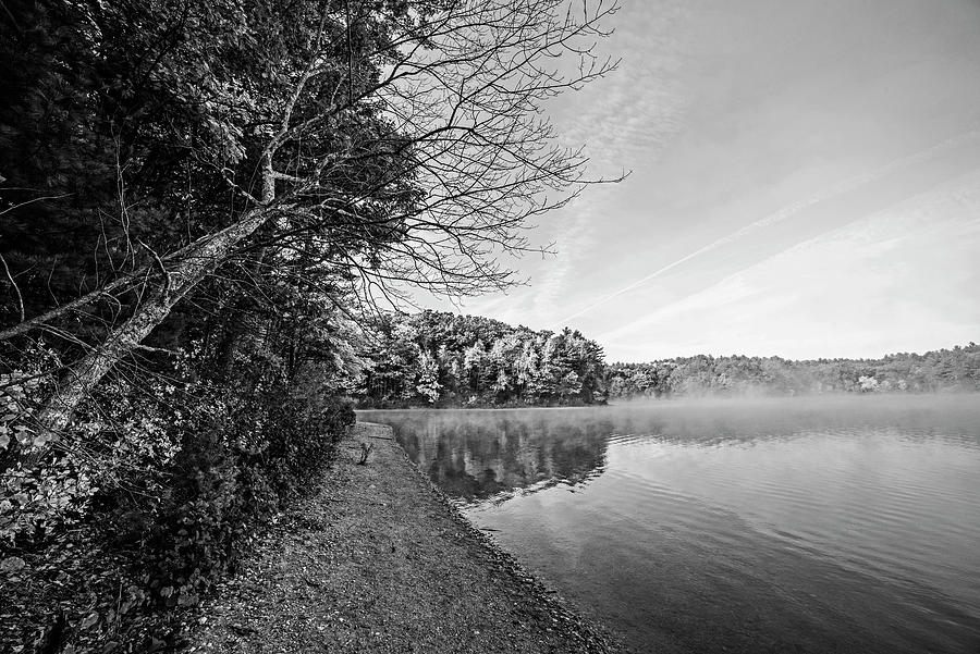 Misty Autumn Morning on Walden Pond in Concord Massachusetts Fall Foliage Black and White Photograph by Toby McGuire