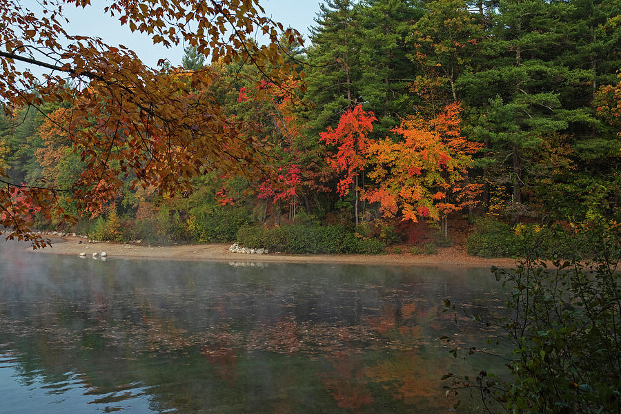 Misty Autumn Morning on Walden Pond in Concord Massachusetts Fall Foliage Red and Orange Leaves Photograph by Toby McGuire