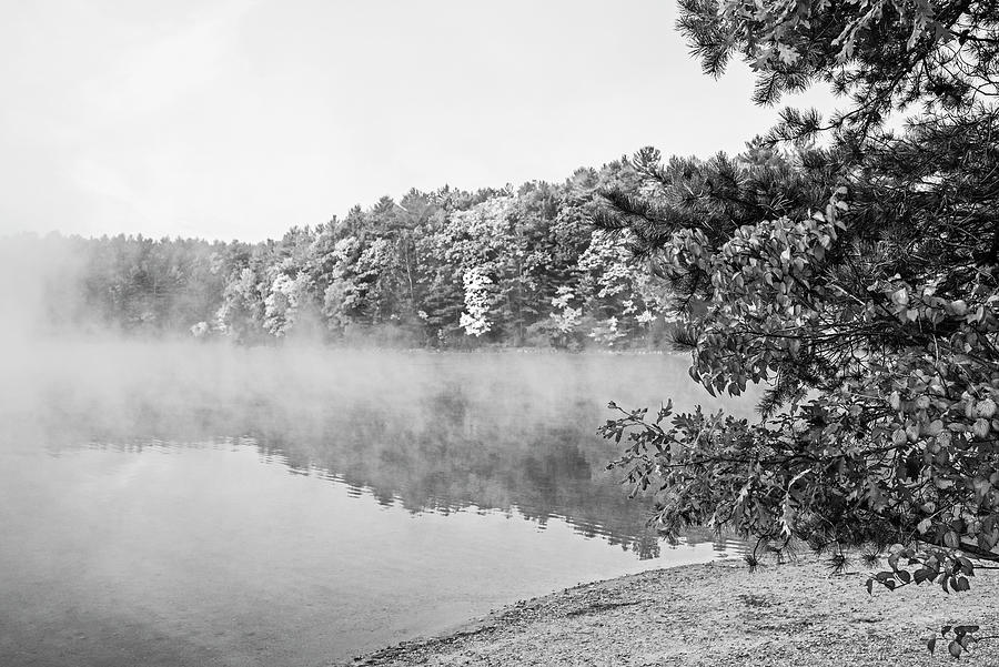 Misty Autumn Morning on Walden Pond in Concord Massachusetts Fall Foliage Red Leaves Black and White Photograph by Toby McGuire