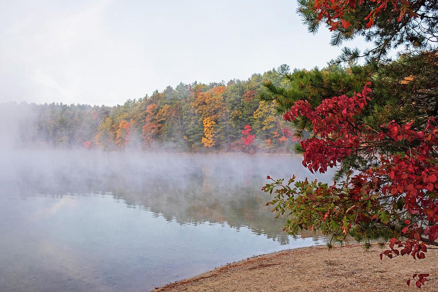 Misty Autumn Morning on Walden Pond in Concord Massachusetts Fall Foliage Red Leaves Photograph by Toby McGuire