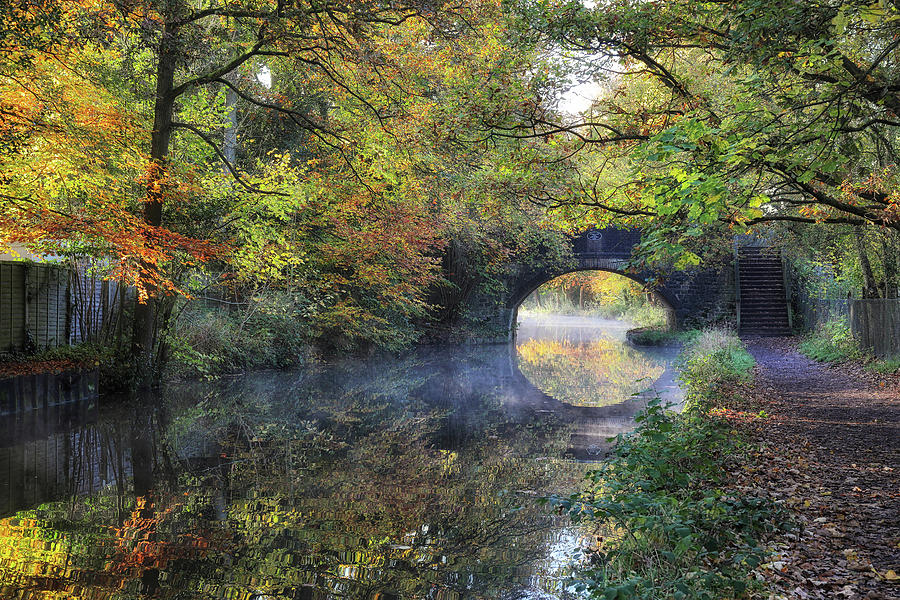 Misty autumn morning Photograph by Shirley Mitchell