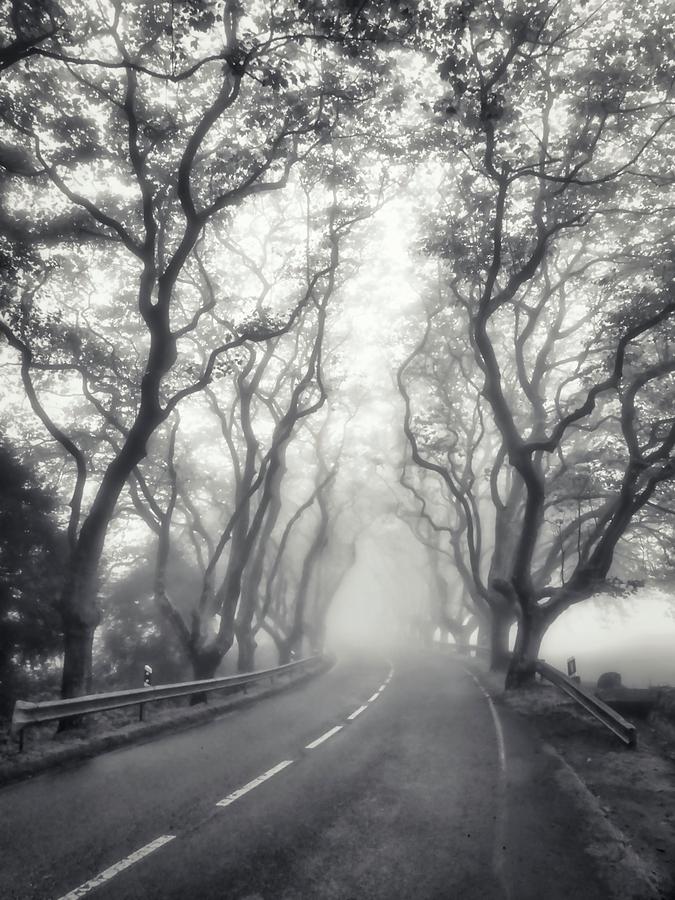 Misty Autumn Road Trip Photograph by Marco Sales Photography Misty Autumn Road Trip Photograph by Marco Sales Photography