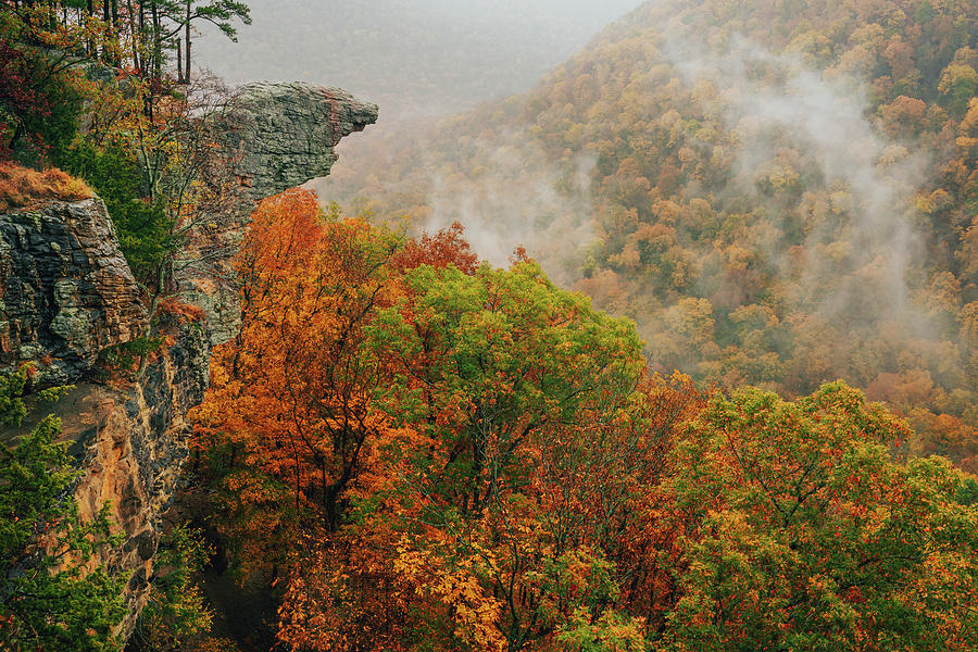 Fall Photograph - Misty Autumn View of Whitaker Point in Arkansas by Jeff Rose