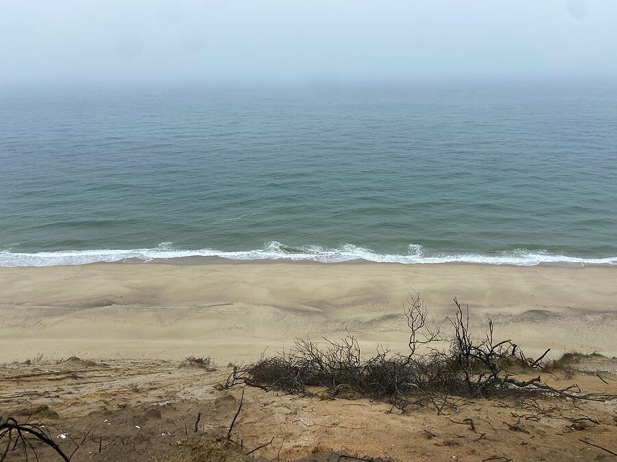 Beach Photograph - Misty Beach Day by Kyle McDonald