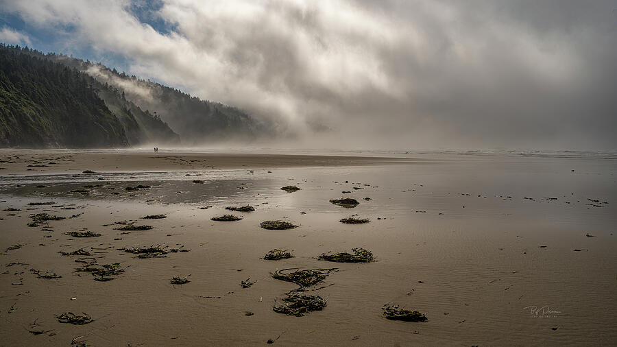 Misty Beach Serenity Photograph by Bill Posner Misty Beach Serenity Photograph by Bill Posner