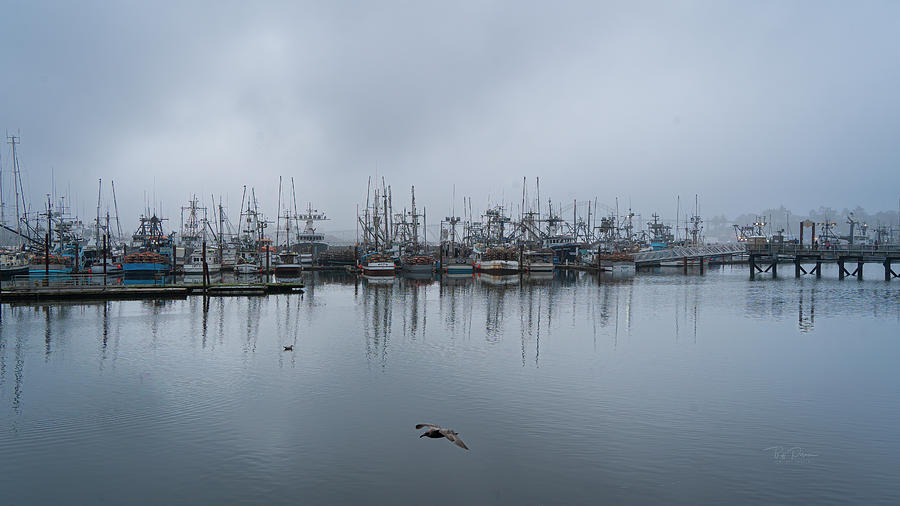 Misty Cloudy Bayfront Photograph by Bill Posner