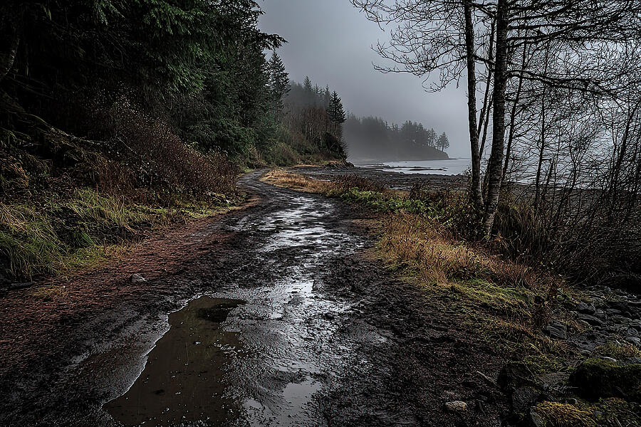Misty Coastal Trail Photograph by Bill Posner