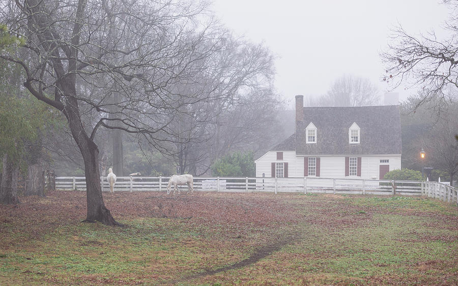 Misty Colonial Williamsburg Photograph by Rachel Morrison