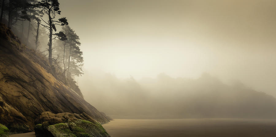 Misty Cove Photograph by Don Schwartz