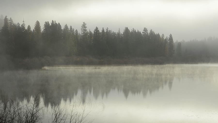 Misty Day At Loon Lake Photograph