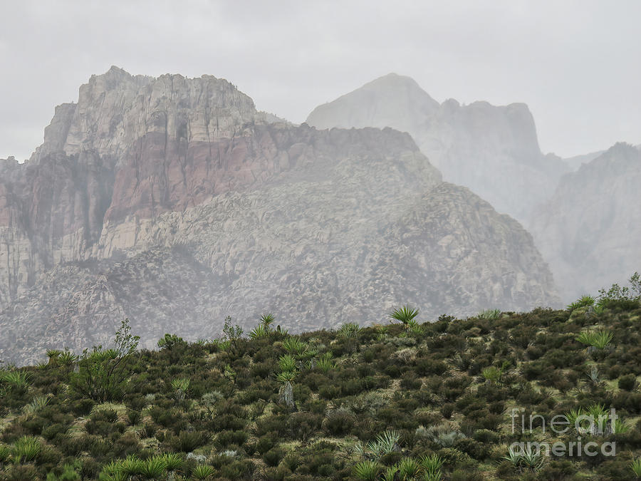Misty Day At Red Rock Canyon, Las Vegas Photograph by Felix Lai