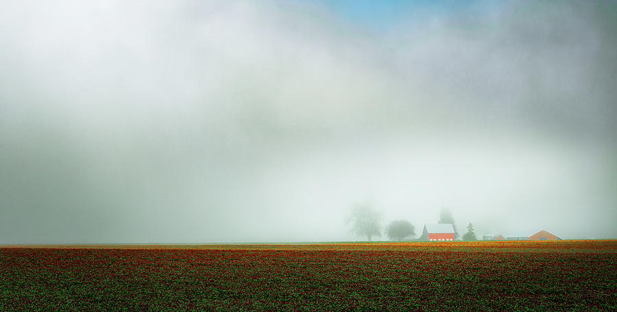 Misty Fields of Clover Photograph by Don Schwartz