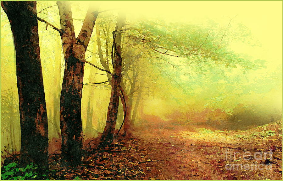 Misty forest Digital Art by Jerzy Czyz