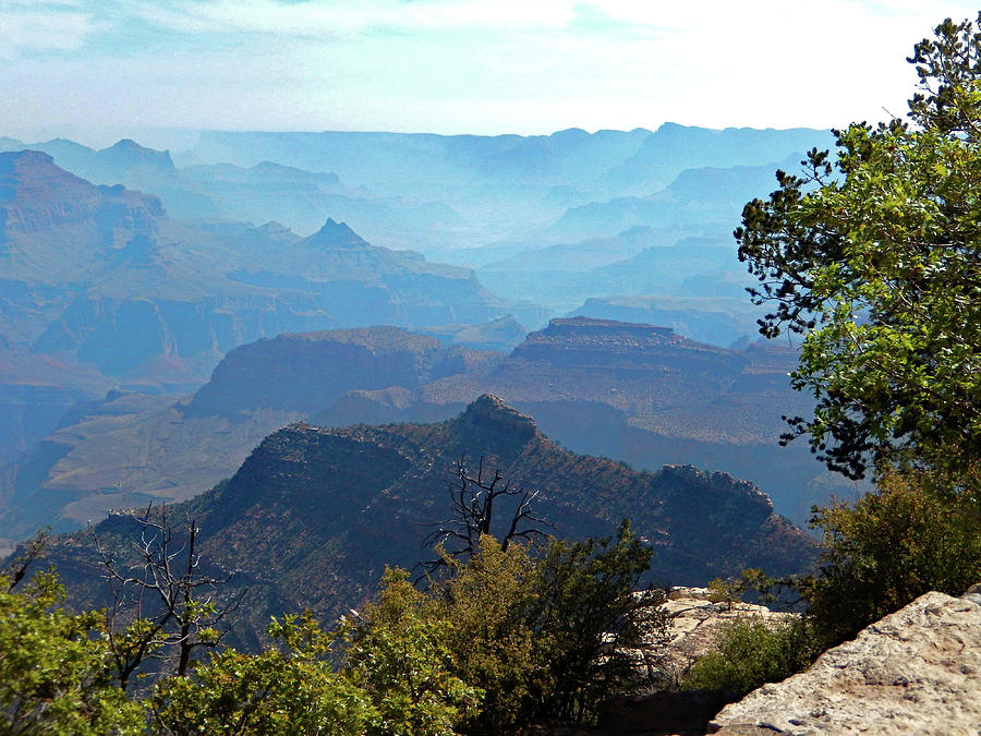 Misty Grand Canyon Morning			 Photograph by Sharon Williams Eng