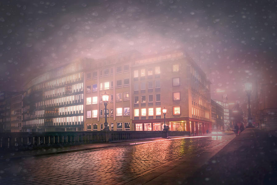 Misty Hamburg Nights  Photograph by Carol Japp