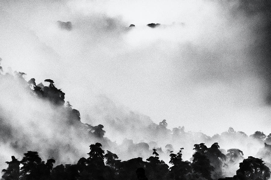 Misty Hills - Black And White II Photograph