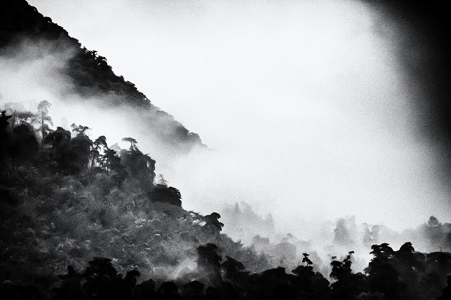 Misty Hills - Black And White Photograph
