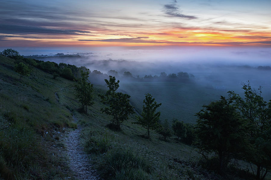 Misty Hills Photograph by Dimitry Papkov
