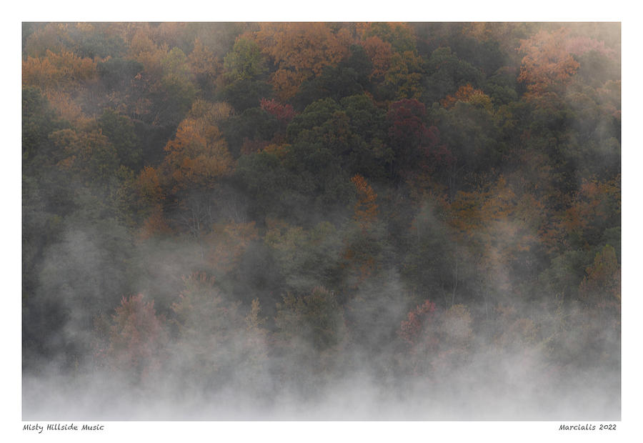 Misty Hillside Music The Signature Series Photograph By Angelo Marcialis Fine Art America 5309