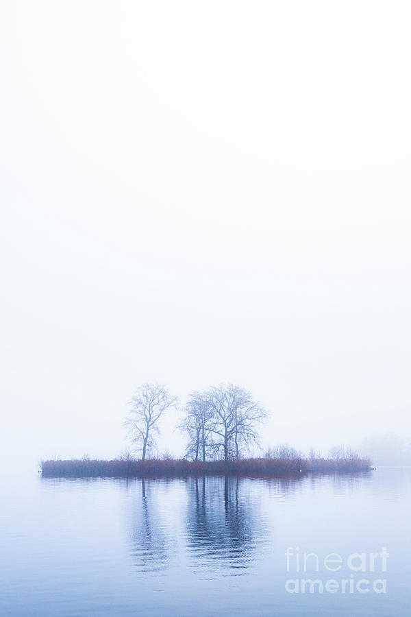 Misty island Photograph by Casper Cammeraat