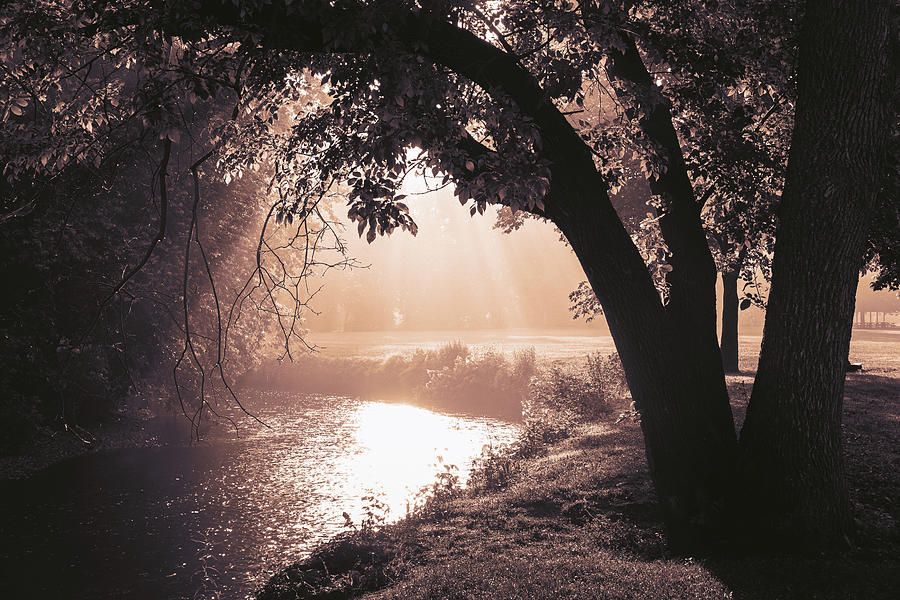 Misty Jordan Creek in Covered Bridge Park - Dark and Light Photograph by Jason Fink