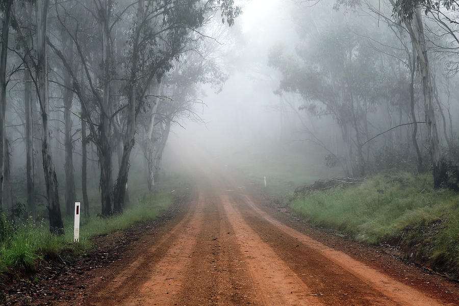 Misty Journey Photograph by Nicholas Blackwell