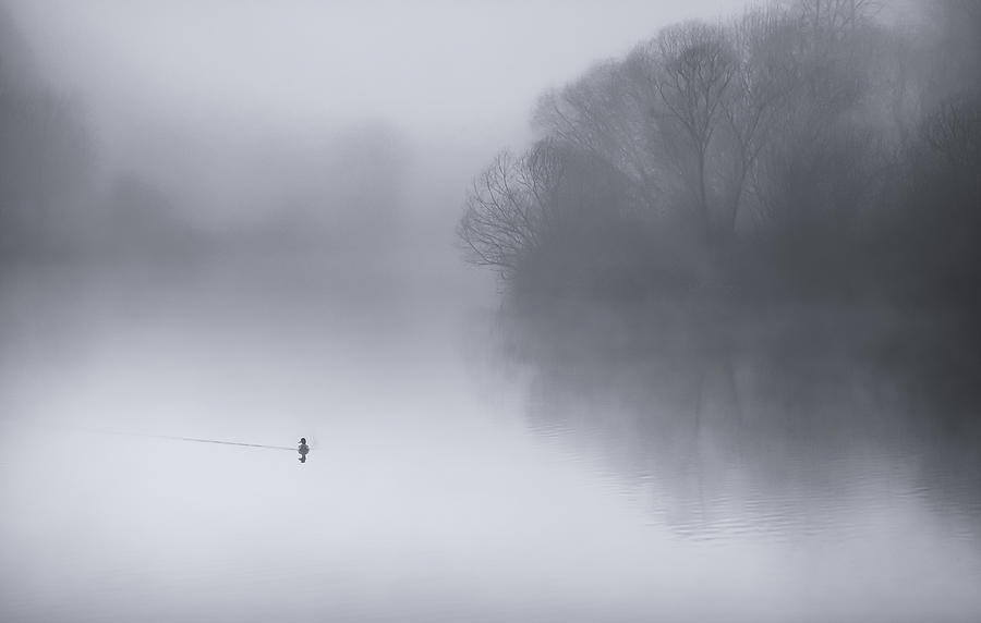 Misty Lake Photograph by Don Schwartz