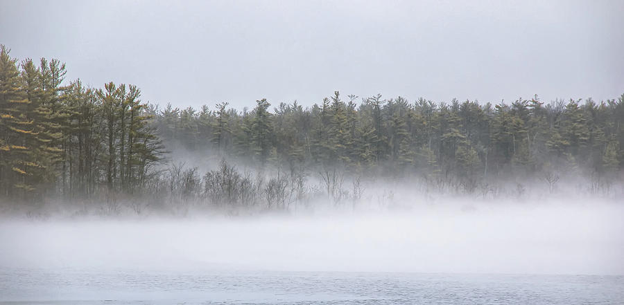 Misty Lake Photograph by Joseph Smith