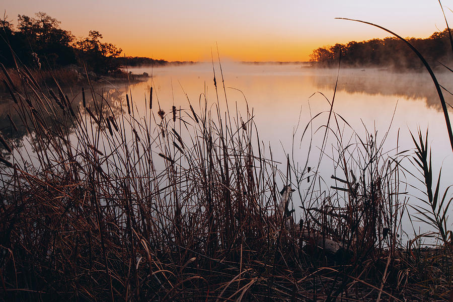 Misty Lake Murray Photograph by Iris Greenwell