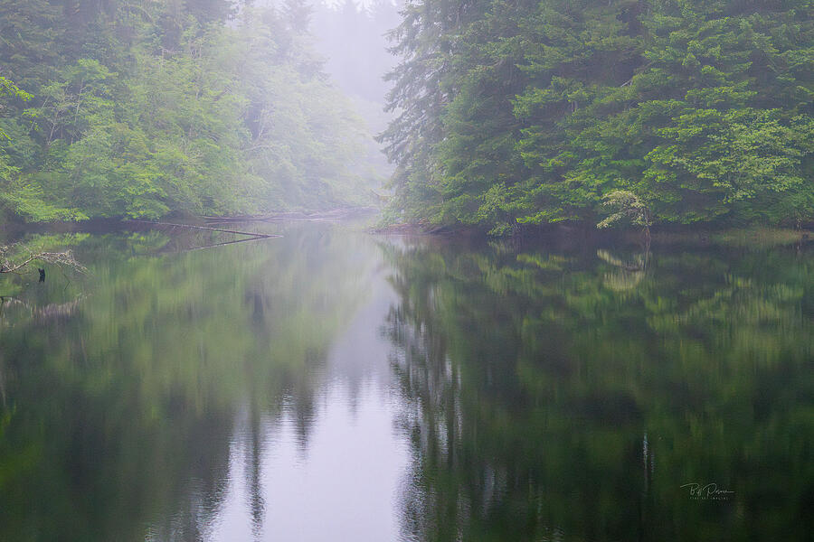 Misty Lake Reflections Photograph by Bill Posner Misty Lake Reflections Photograph by Bill Posner