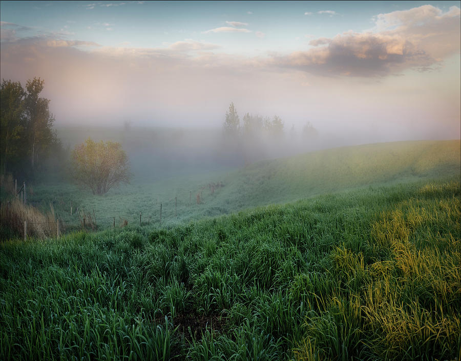 Misty Lands Photograph by Dan Jurak