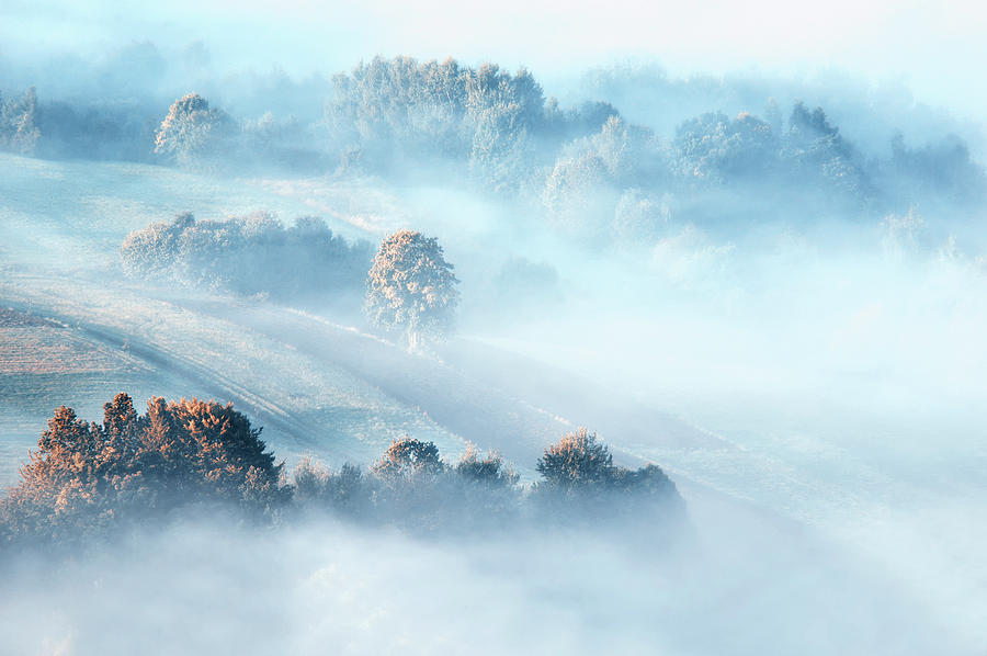 Misty Landscape Photograph